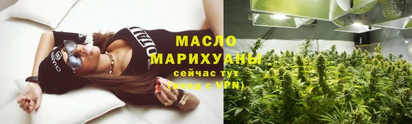 шишки Горно-Алтайск