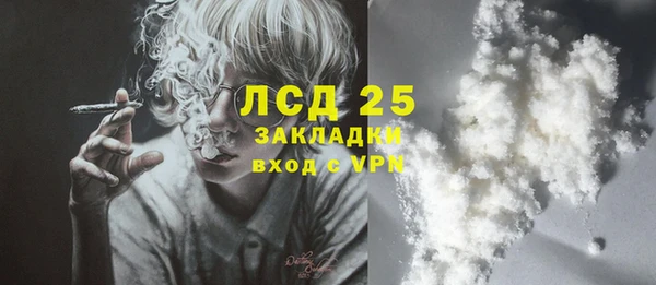 ГАЛЛЮЦИНОГЕННЫЕ ГРИБЫ Арсеньев