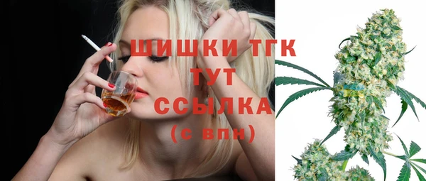 PSILOCYBIN Армянск