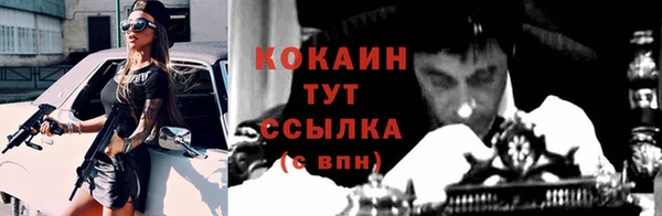 apvp Горнозаводск