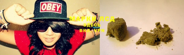 PSILOCYBIN Армянск
