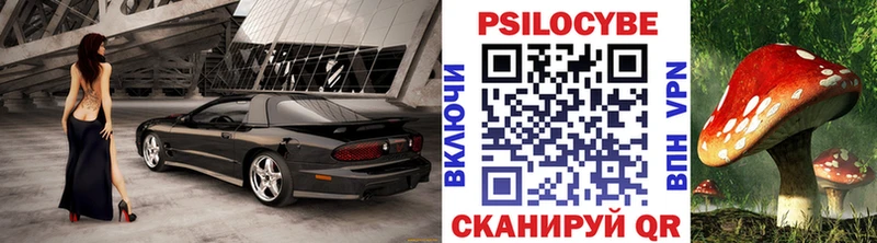 Галлюциногенные грибы Cubensis  купить закладку  Нефтекумск 