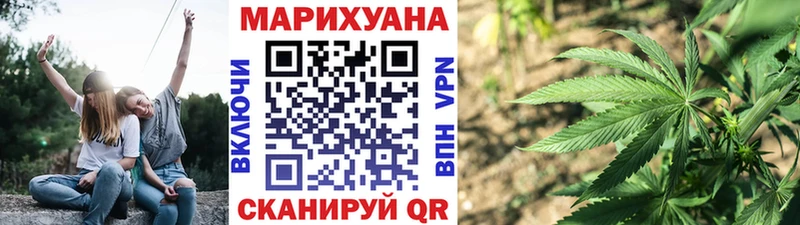 где купить наркотик  KRAKEN   Конопля сатива  Нефтекумск 